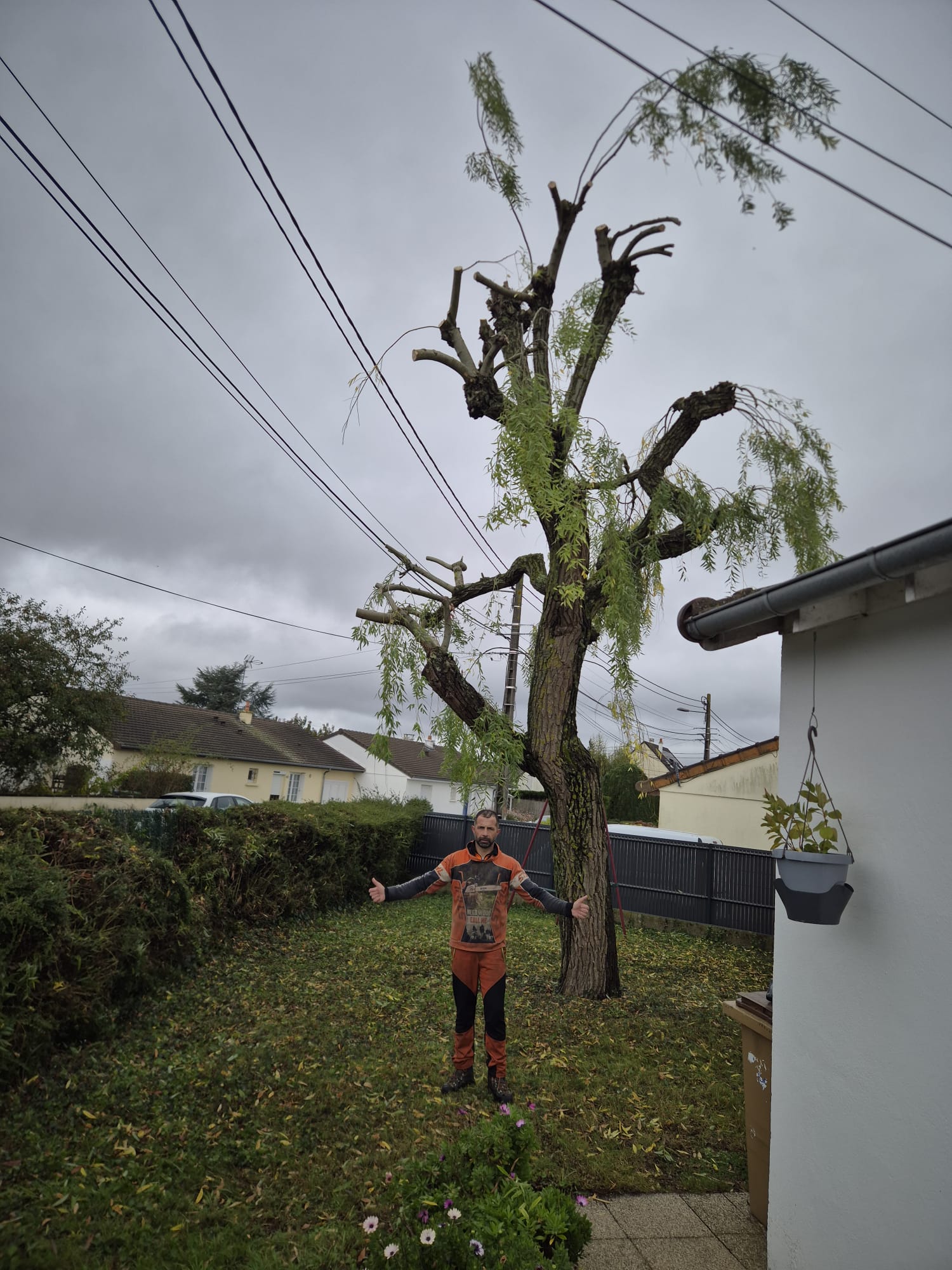 Mickaël Élagueur - Réalisation élagage d'arbre
