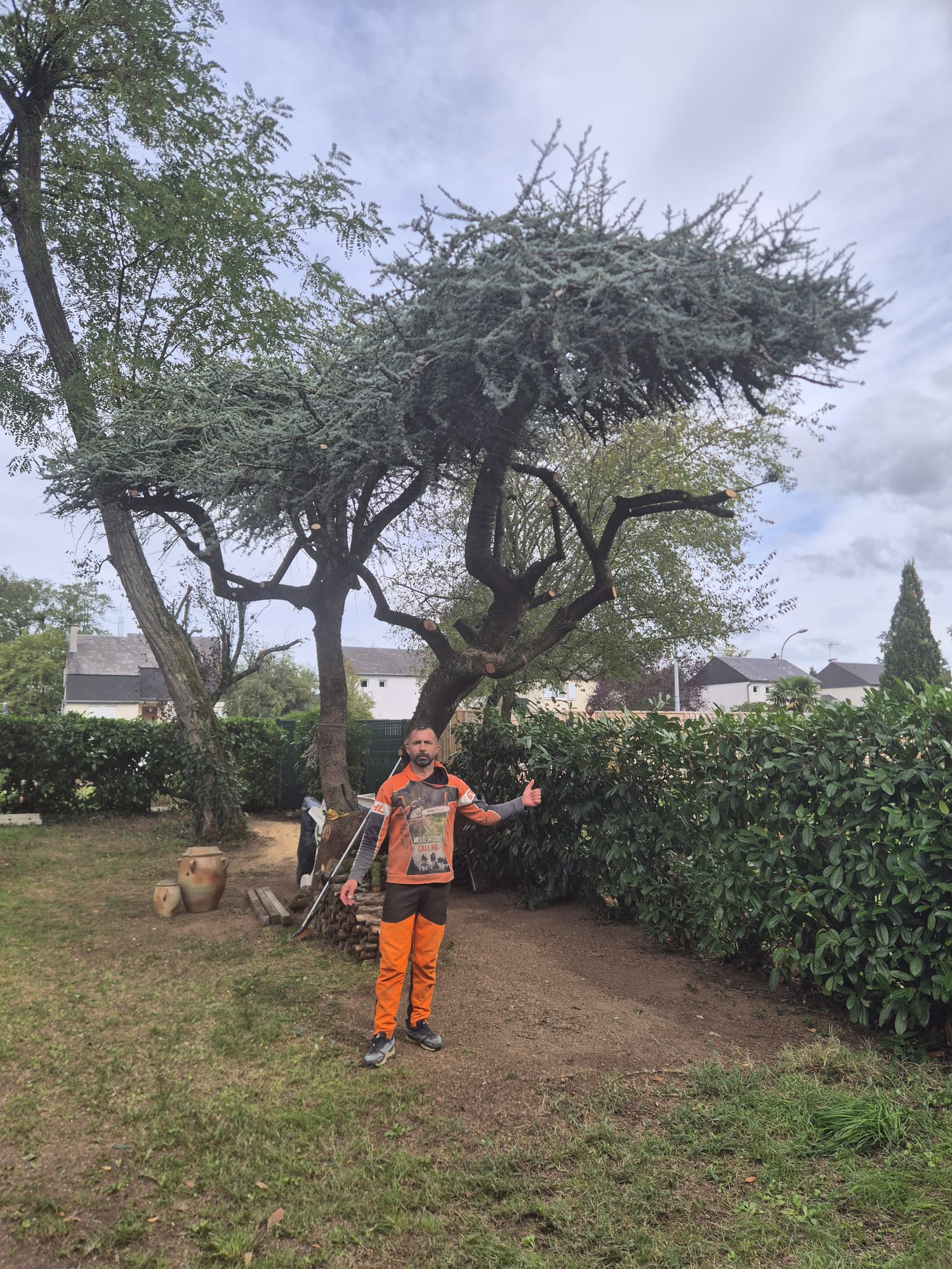 Mickaël Élagueur - Réalisation élagage d'arbre