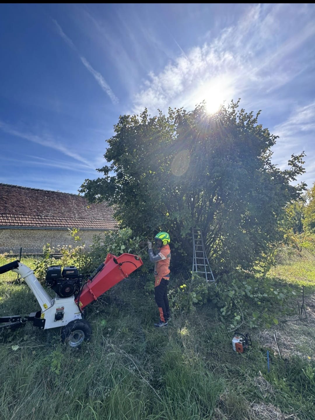 Mickaël Élagueur - Réalisation élagage d'arbre