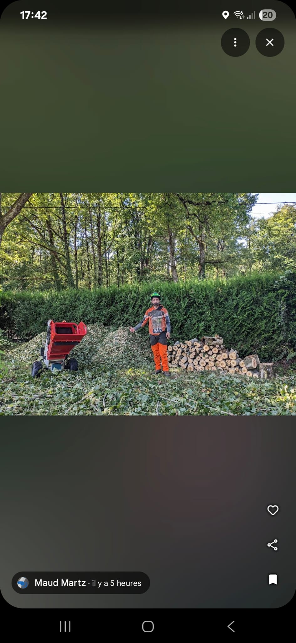 Mickaël Élagueur - Réalisation élagage d'arbre