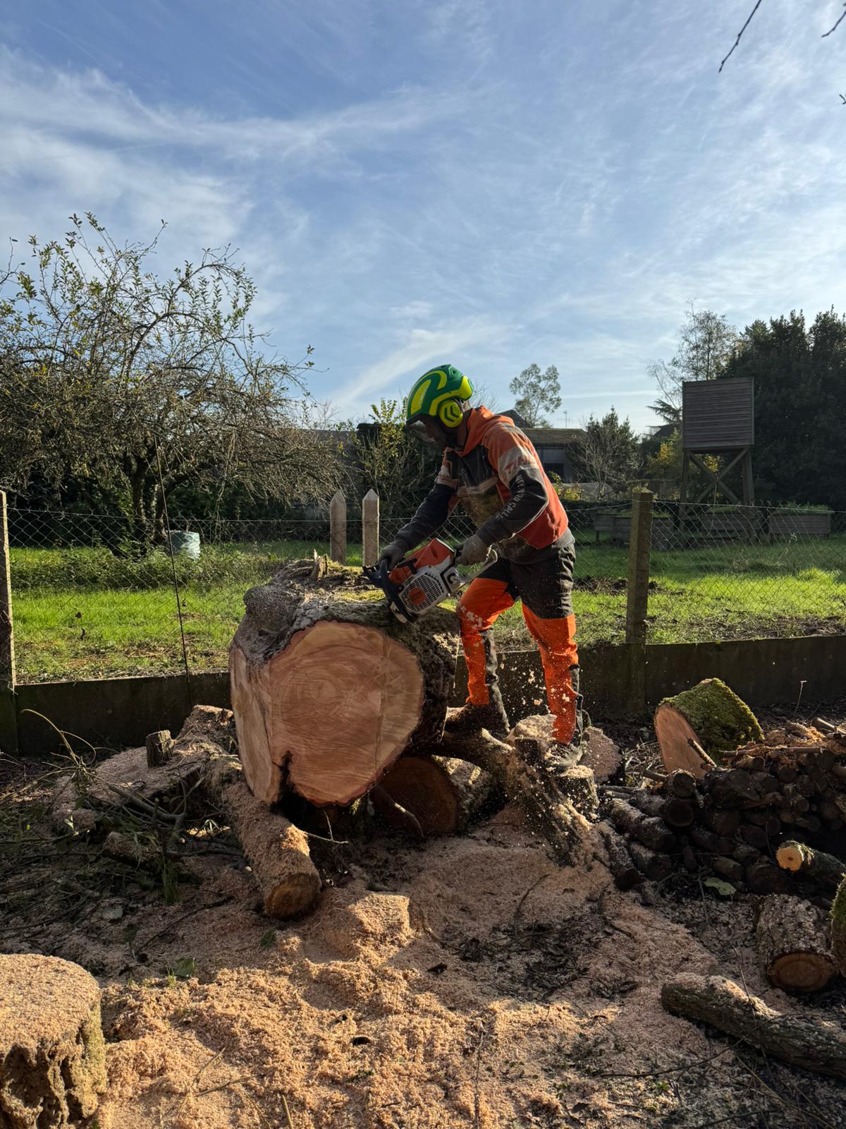 Mickaël Élagueur - Réalisation élagage d'arbre