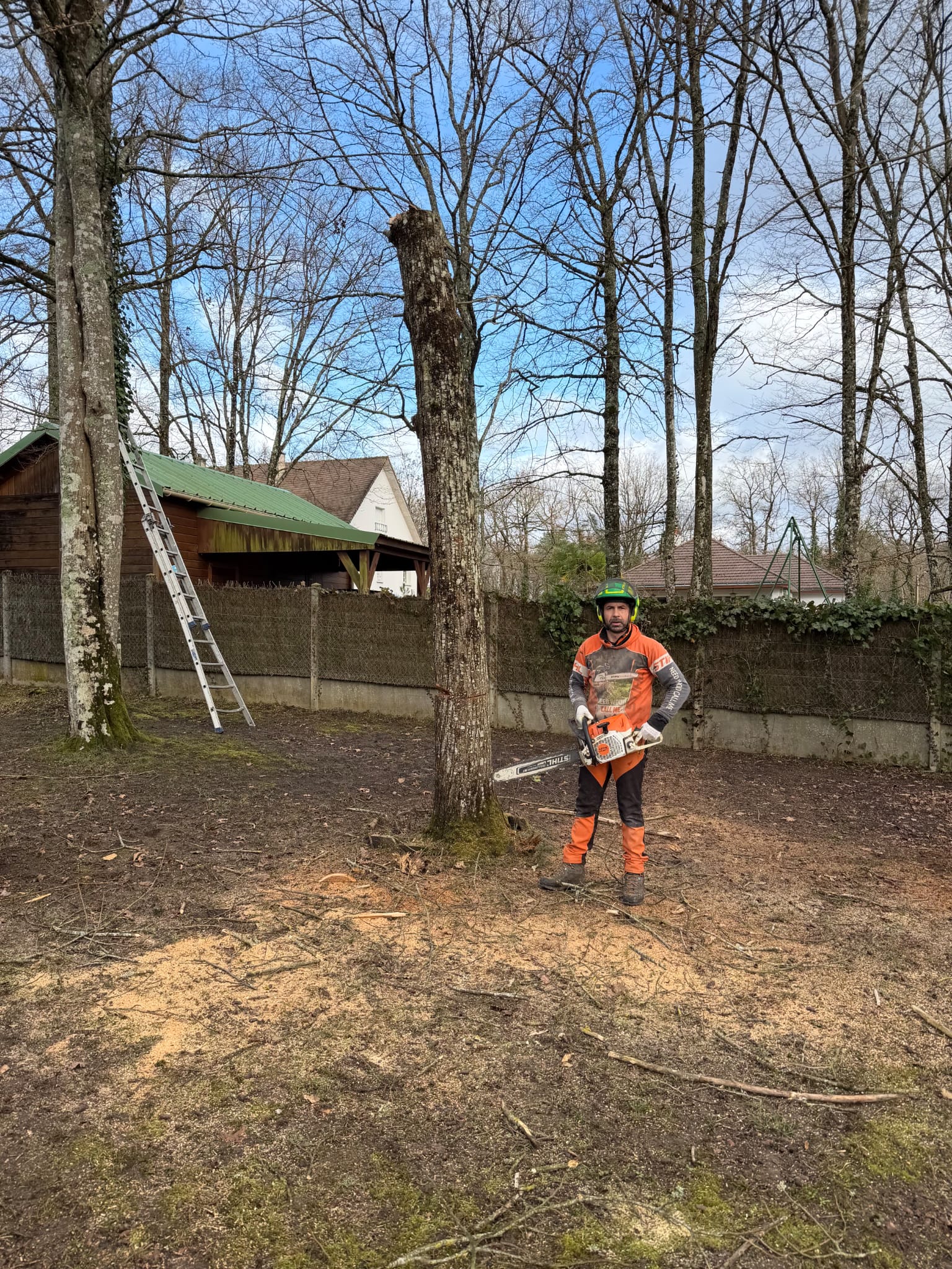 Mickaël Élagueur - Réalisation élagage d'arbre