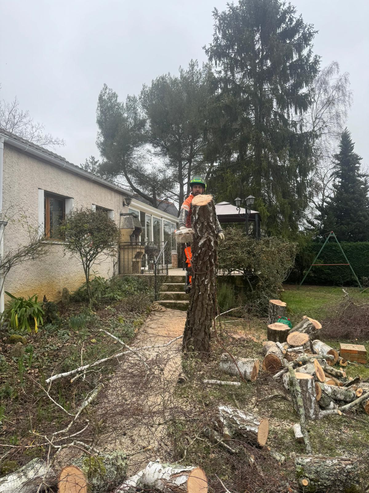 Mickaël Élagueur - Réalisation élagage d'arbre