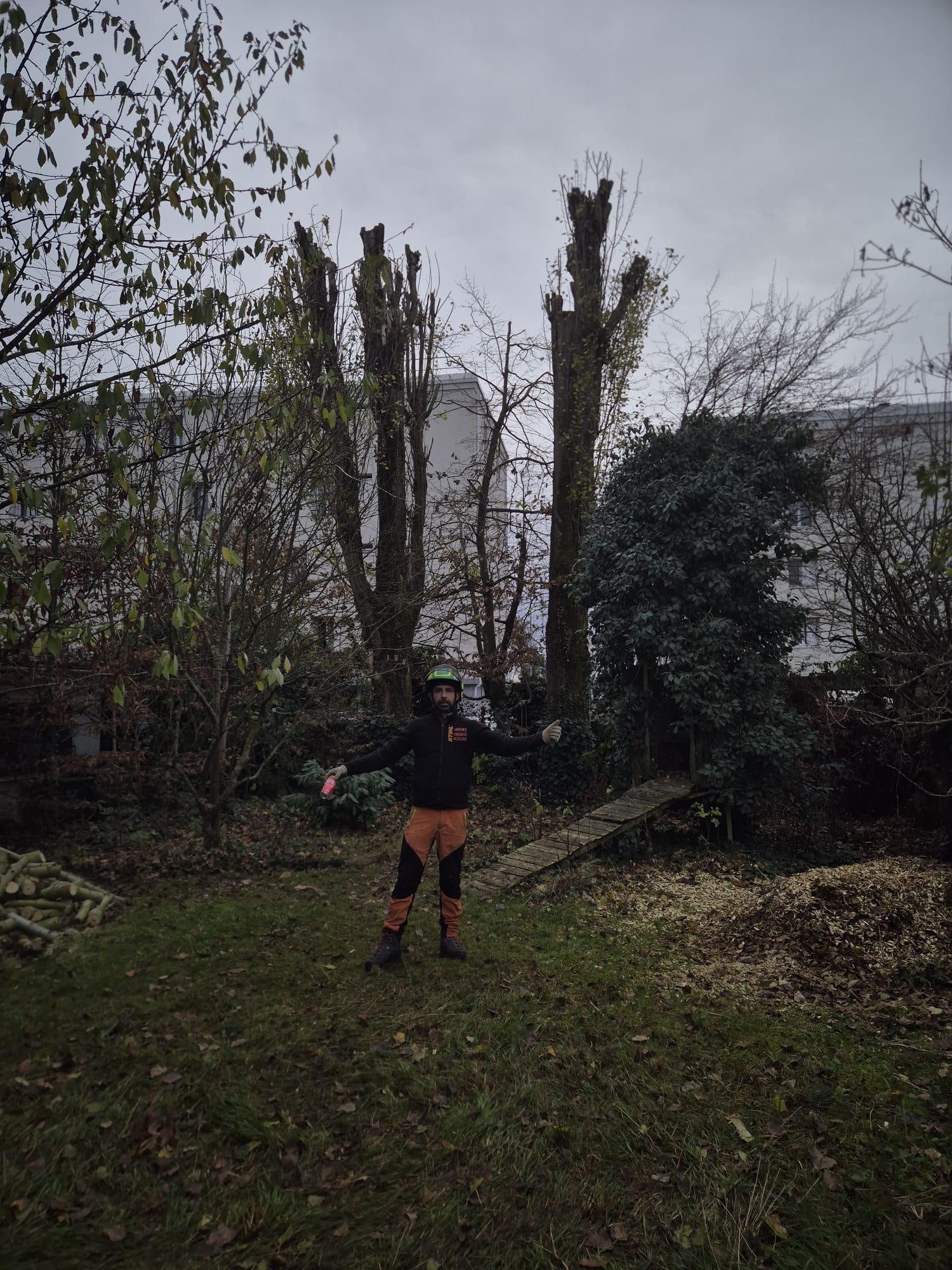 Mickaël Élagueur - Réalisation élagage d'arbre